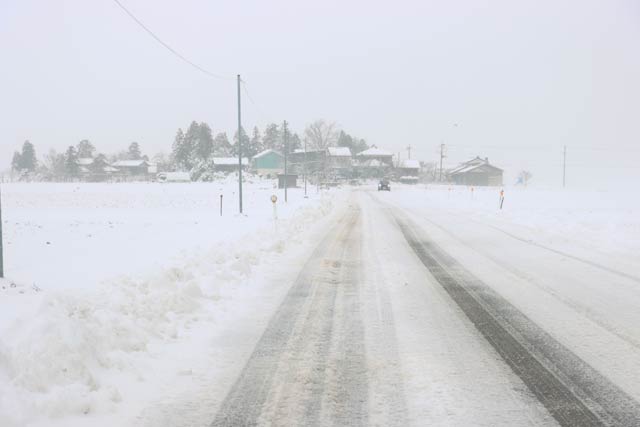 三条市栄地区の地吹雪
