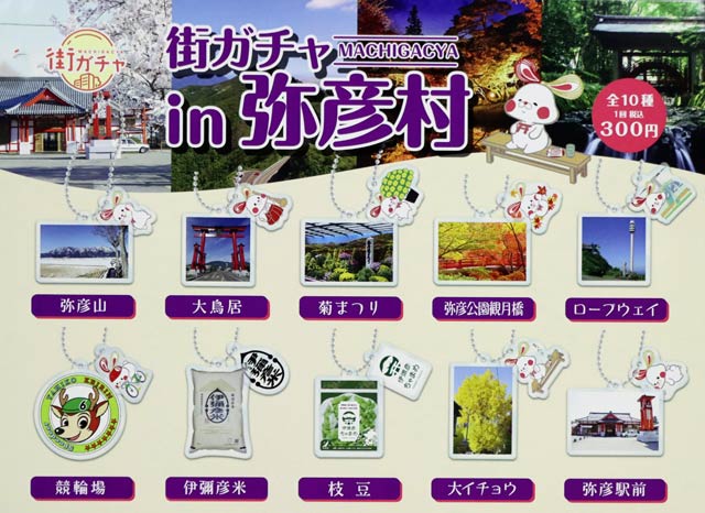 全10種類のアクリルキーホルダー