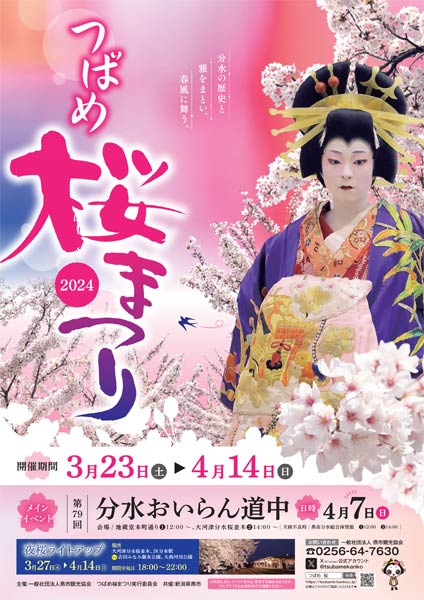 つばめ桜まつり　分水おいらん道中