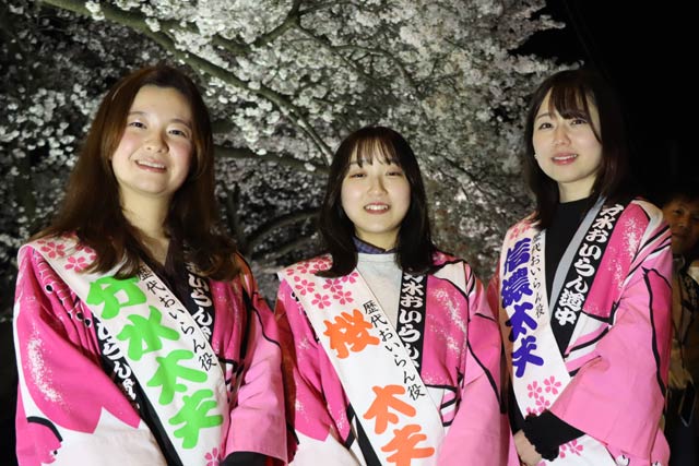 満開の桜のライトアップとおいらん役