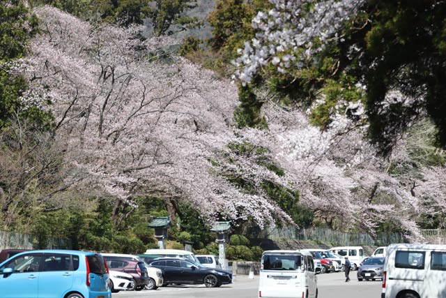第駐車場