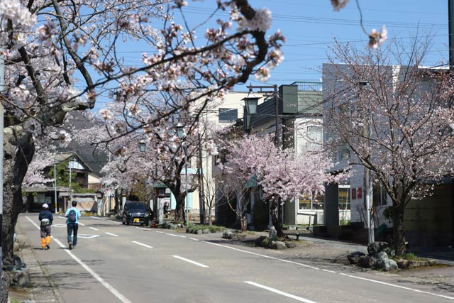 弥彦駅前