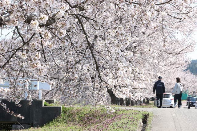 布施谷川