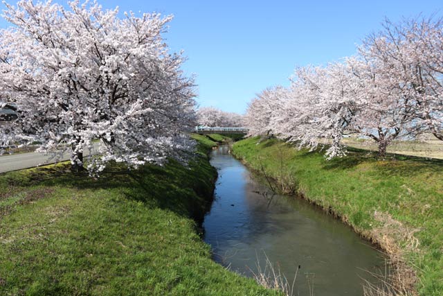 布施谷川