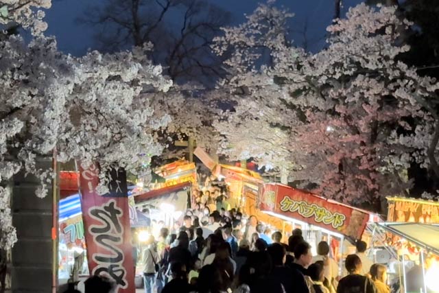 露店が並ぶ村松公園の桜まつり