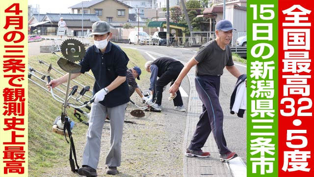15日の季節外れの猛暑のなかで刈払機のメンテナンスをする朝草会
