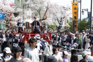 5年ぶりに完全復活の弥彦湯かけまつりは満開の桜と青空を舞台に花見客も巻き込む