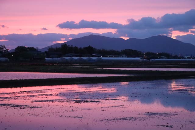 県央基幹病院付近から水を張った水田に移る夕焼け
