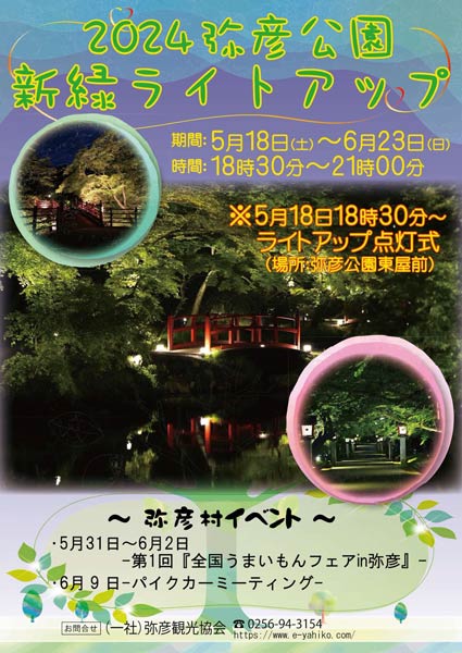 弥彦公園新緑ライトアップ
