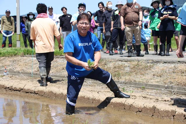 スワローズ・ライスファームで田植えする真中さん