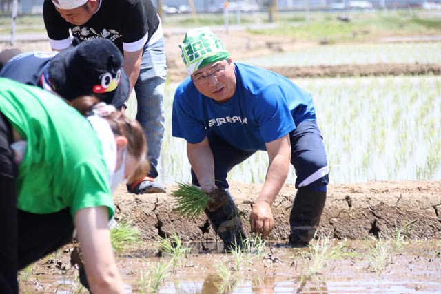 スワローズ・ライスファームで田植えする真中さん