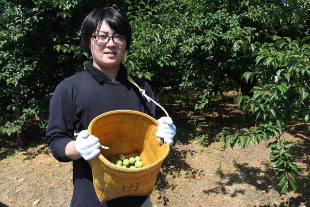 頼もしい助っ人の地域おこし協力隊の杉野さんが収穫を手伝う