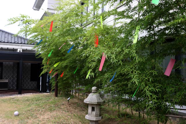 弥彦村役場前のササを飾る短冊