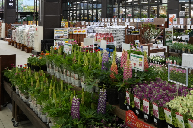 スーパーセンタームサシ長岡店