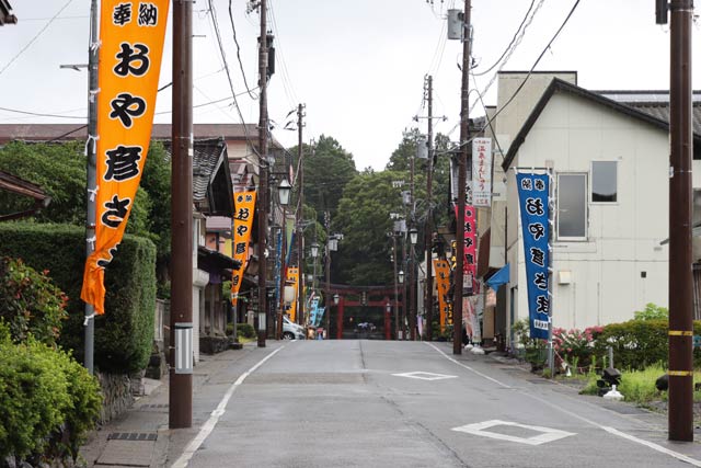 弥彦燈籠まつりを告げるのぼり旗が立ち並ぶ24日午後の弥彦温泉街
