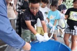 軍手を着けてウナギのつかみ取り