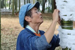 14日開幕「たがみバンブーブー」の竹林のあんどん制作に小学生が参加