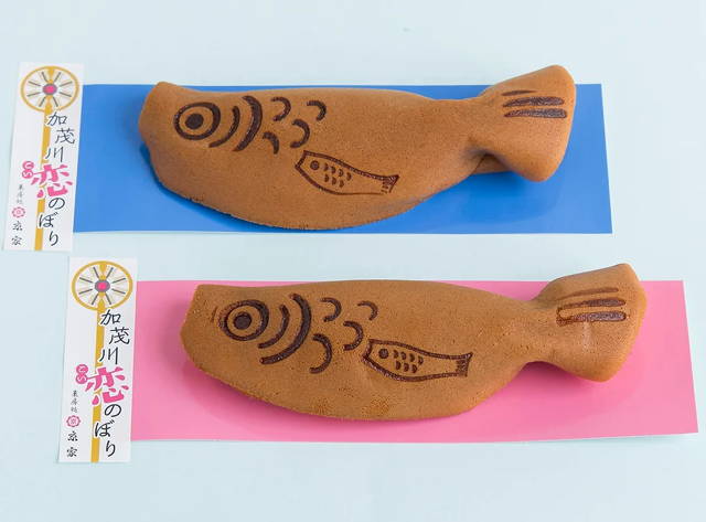 加茂川恋のぼり