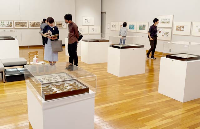 「長岡の絵本作家 松岡達英展」