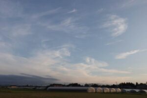 27日夕方の高い空