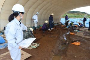 県内初の頭椎大刀の把頭が出土 越後平野初の首長居館の遺跡が確実になった燕市・石港遺跡で3日に現地説明会