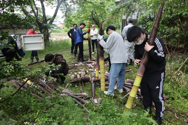 国上の竹林でタケノコの収穫のようす