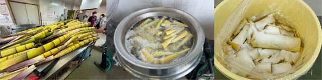 収穫したタケノコの加工