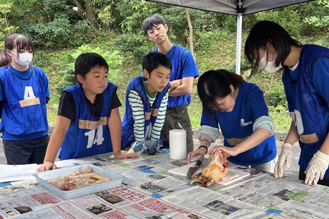 と殺体験でぢあが区政によるニワトリの解体作業を見学する子ども達