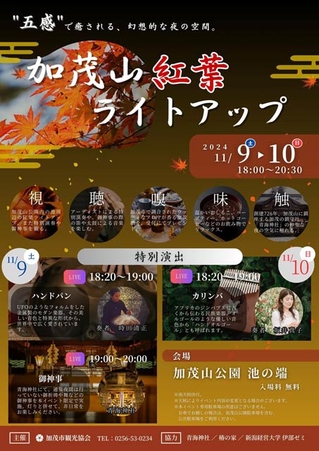 加茂山紅葉ライトアップ