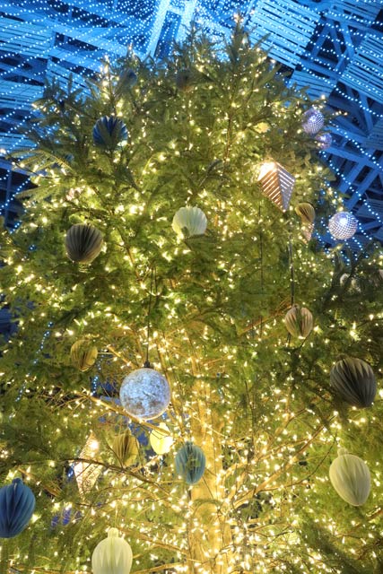 巨大なクリスマスツリーのイルミネーション