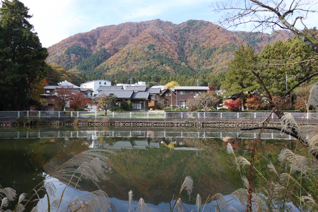 弥彦山も紅葉