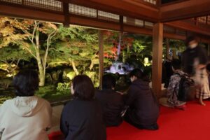大広間から見る庭園のライトアップ