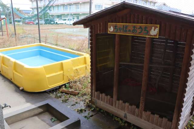 22、23日と一般開放している燕東幼稚園