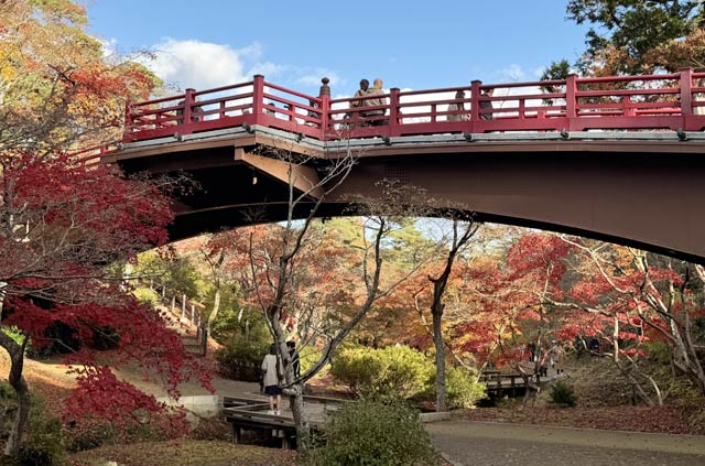 11月25日の弥彦の紅葉