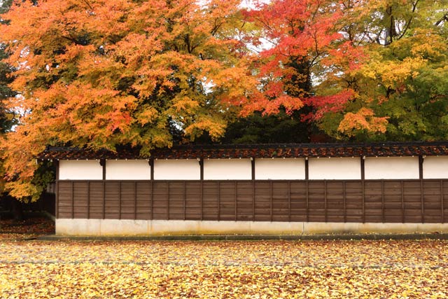 青海神社の赤鳥居周辺の紅葉