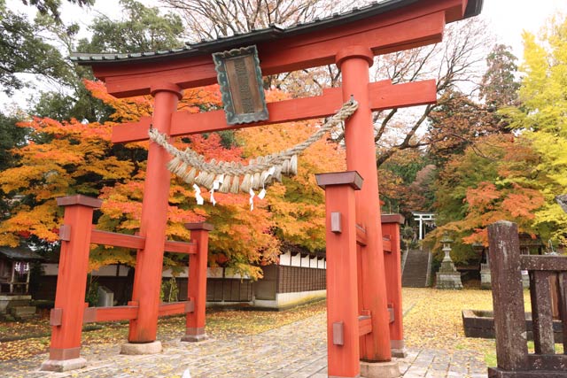青海神社の赤鳥居周辺の紅葉