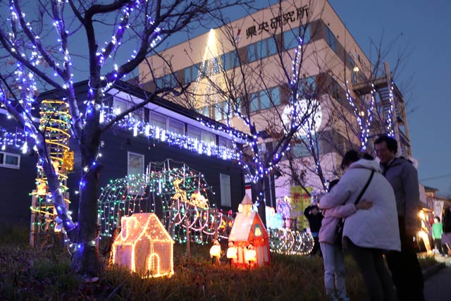 県央研究所のクリスマスイルミネーション