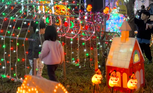 県央研究所のクリスマスイルミネーション