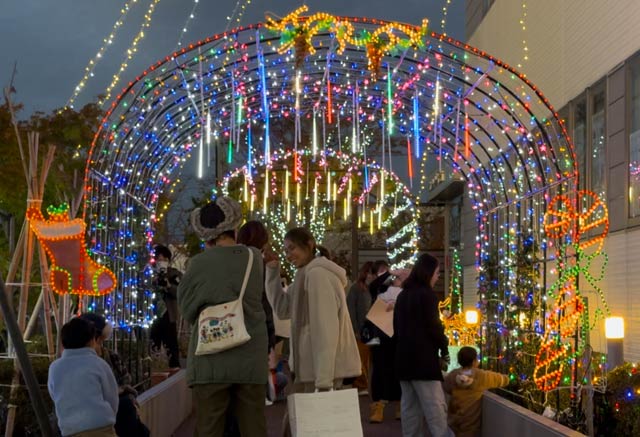 県央研究所のクリスマスイルミネーション