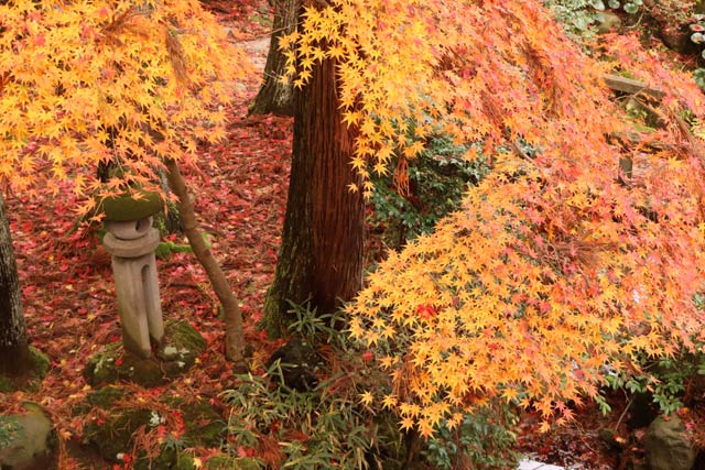 松雲山荘の紅葉