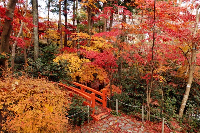 松雲山荘の紅葉
