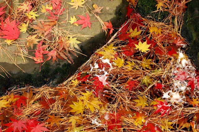 松雲山荘の紅葉