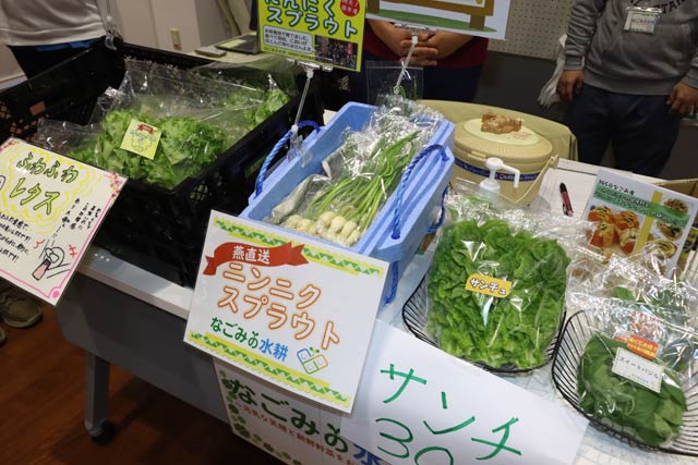 なごみの水耕
