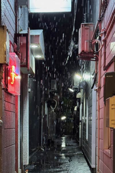 7日深夜に新潟市中央区の古町の小路に降る雪