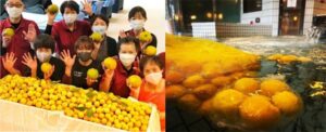 「冬至」でゆず湯をサービス 「じょんのび館」と「ちぢみの里おぢや」