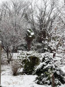 19日朝、燕市に降る雪