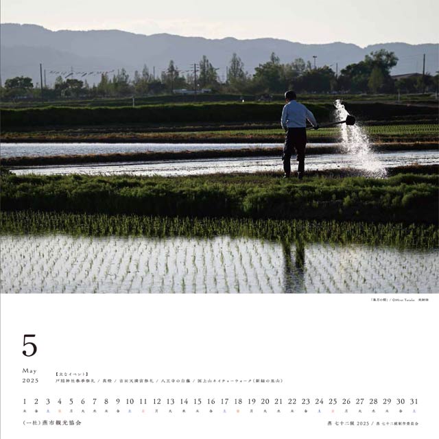 5月