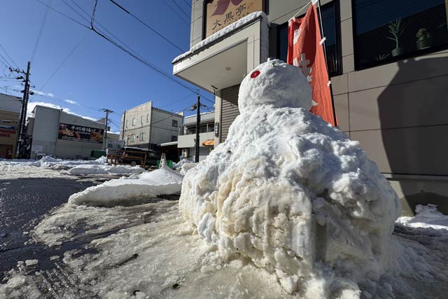 雪だるまを作るだけの雪はたっぷりある