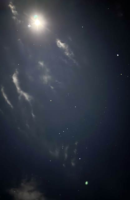 星もたくさん見えてオリオン座もはっきり