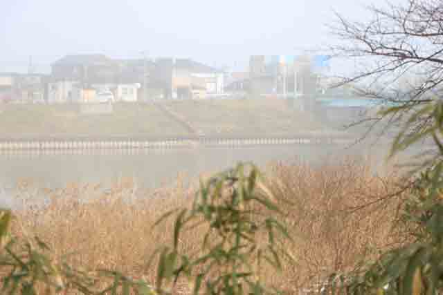26日朝の燕市・中ノ口川に霧がかかる
